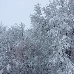 Meet your Posher, Theresa